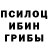 Псилоцибиновые грибы мицелий Georgy Bosov
