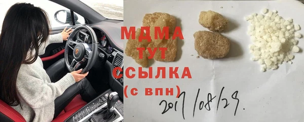индика Елабуга