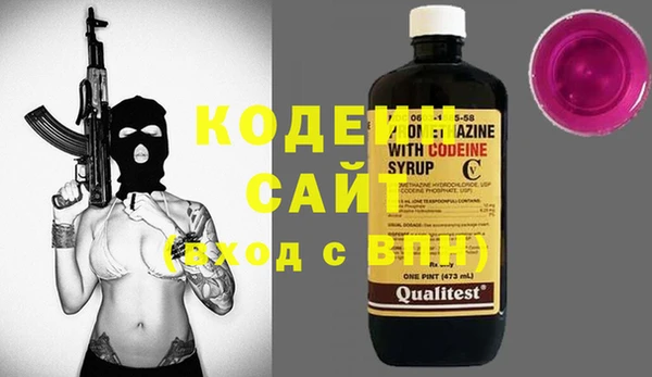 индика Елабуга