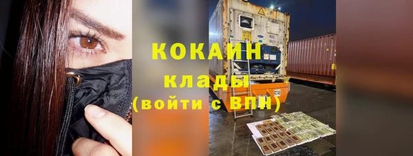 шишки Сосновоборск
