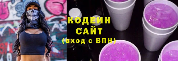 ECSTASY Ельня