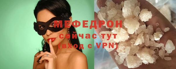 ECSTASY Ельня