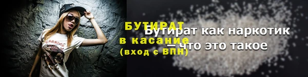 индика Елабуга
