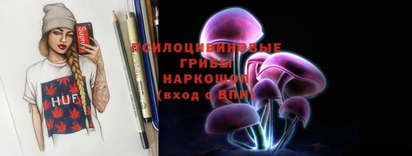 ECSTASY Ельня