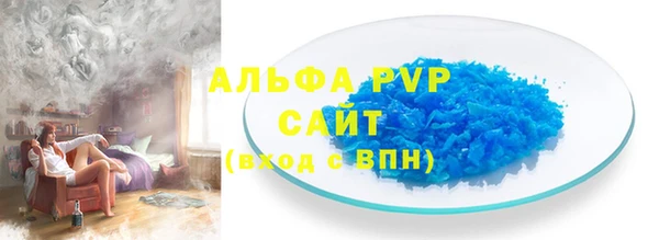 ECSTASY Ельня