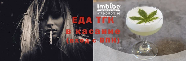 индика Елабуга