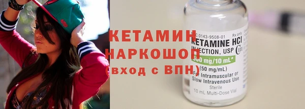 индика Елабуга