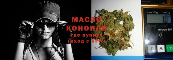 ECSTASY Ельня