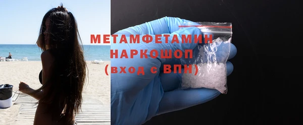 индика Елабуга