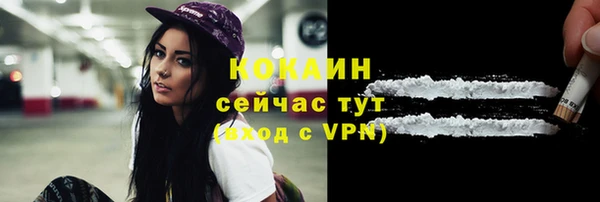 ECSTASY Ельня