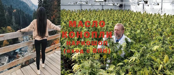 индика Елабуга