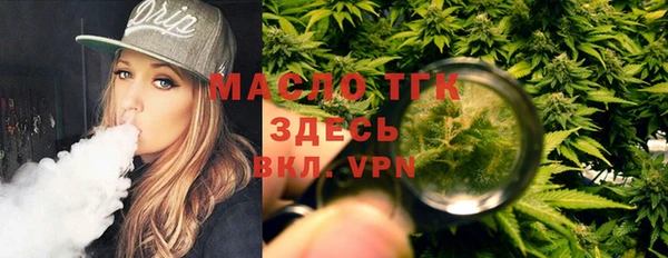 индика Елабуга