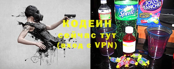 ECSTASY Ельня