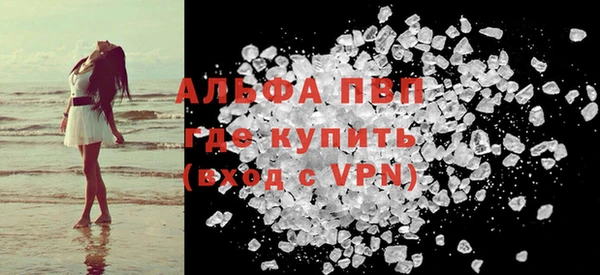 индика Елабуга