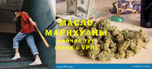 индика Елабуга
