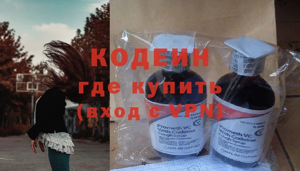 индика Елабуга
