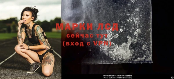индика Елабуга