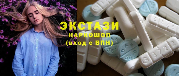 индика Елабуга