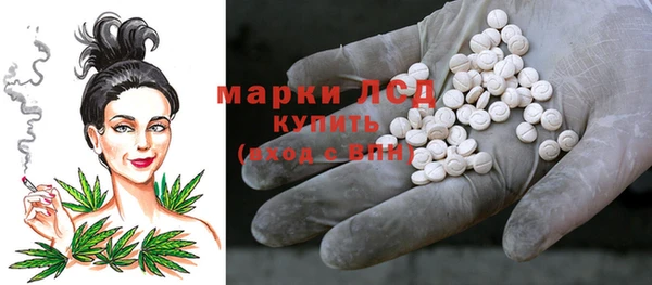 ECSTASY Ельня