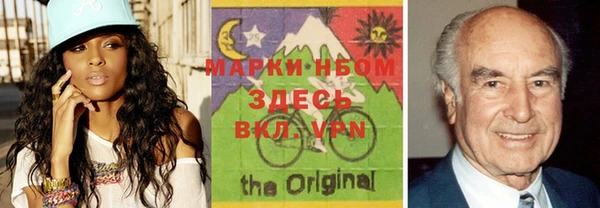 индика Елабуга