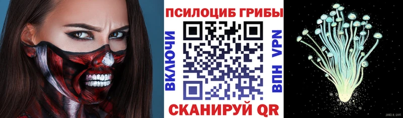 Псилоцибиновые грибы GOLDEN TEACHER  Кострома 