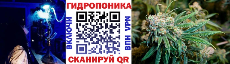 Шишки марихуана семена  кракен ссылки  Кострома 